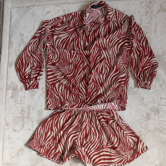 Zebra Print Two-Piece Set - Picture 5 of 12